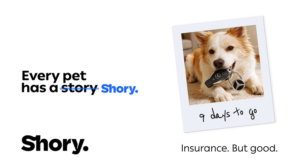 Shory Insurance 🇦🇪 tweet media