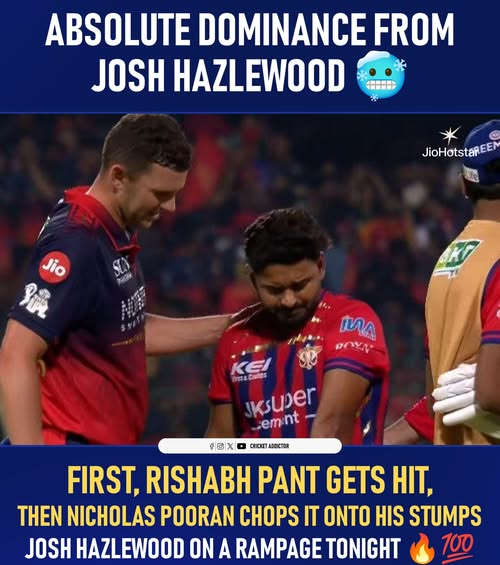 Cricket Addictor tweet media