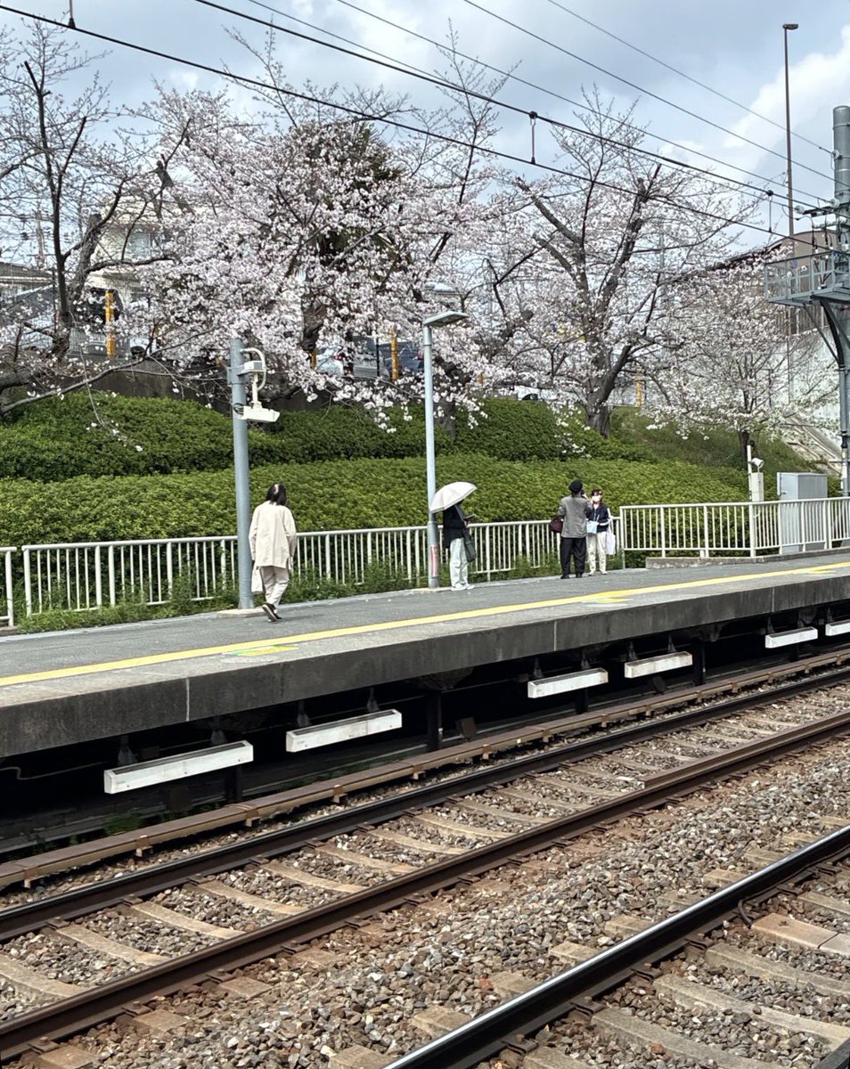 pxjo_om's tweet photo. 写真系出してなさすぎるから💦
お気に入りの服と桜🌸

#日常垢 #日常垢さんと繋がりたい https://t.co/3Pfu5IpEO7