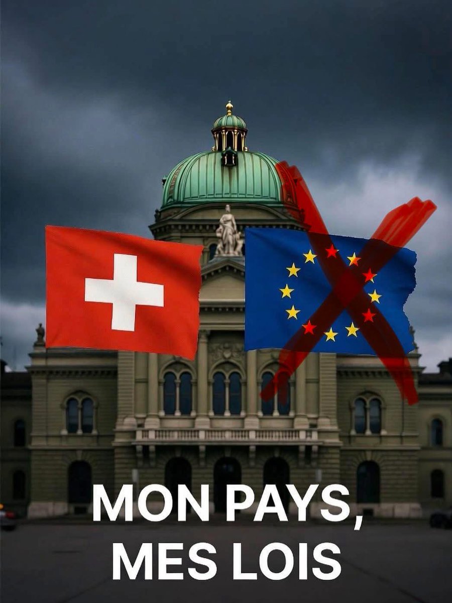 Dom Barbarella tweet media