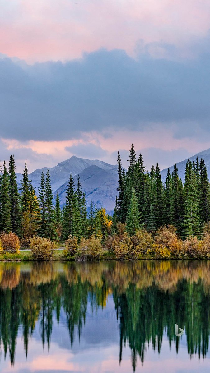 meejd777's tweet image. Kananaskis #Country Alberta Canada