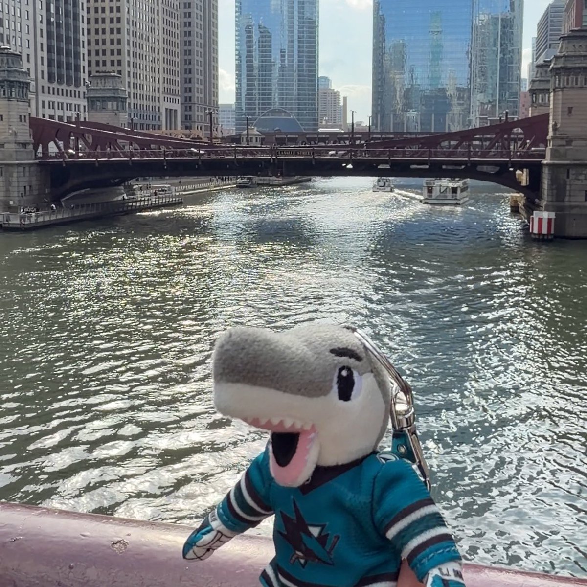 x - mags ☆ tweet media