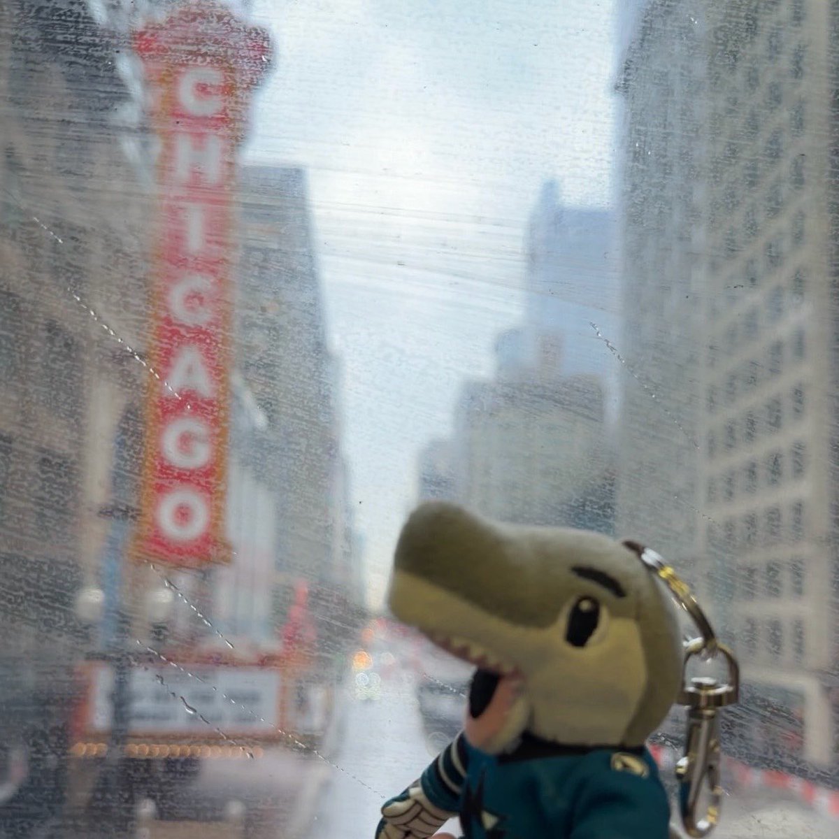 x - mags ☆ tweet media