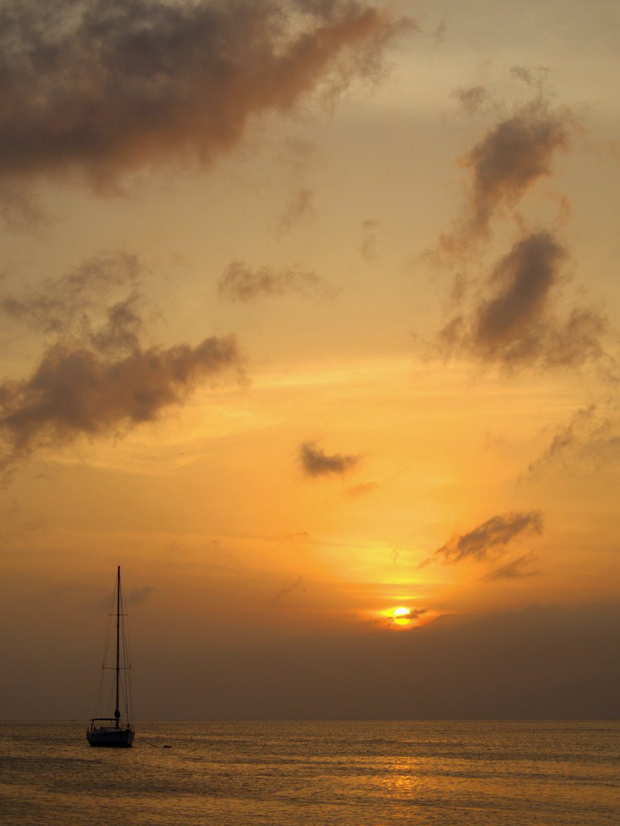 LuisG 🍁 tweet media