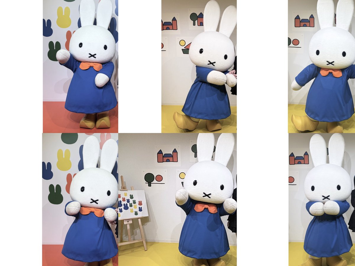 はなまるぴっぴはうさこだけ tweet media