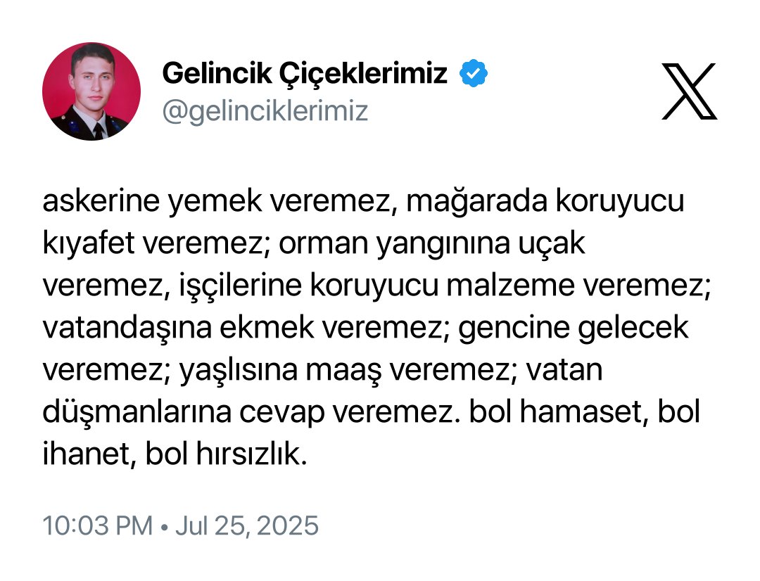 + okulda öğrencisine ve öğretmenine güvenlik sağlayamaz.