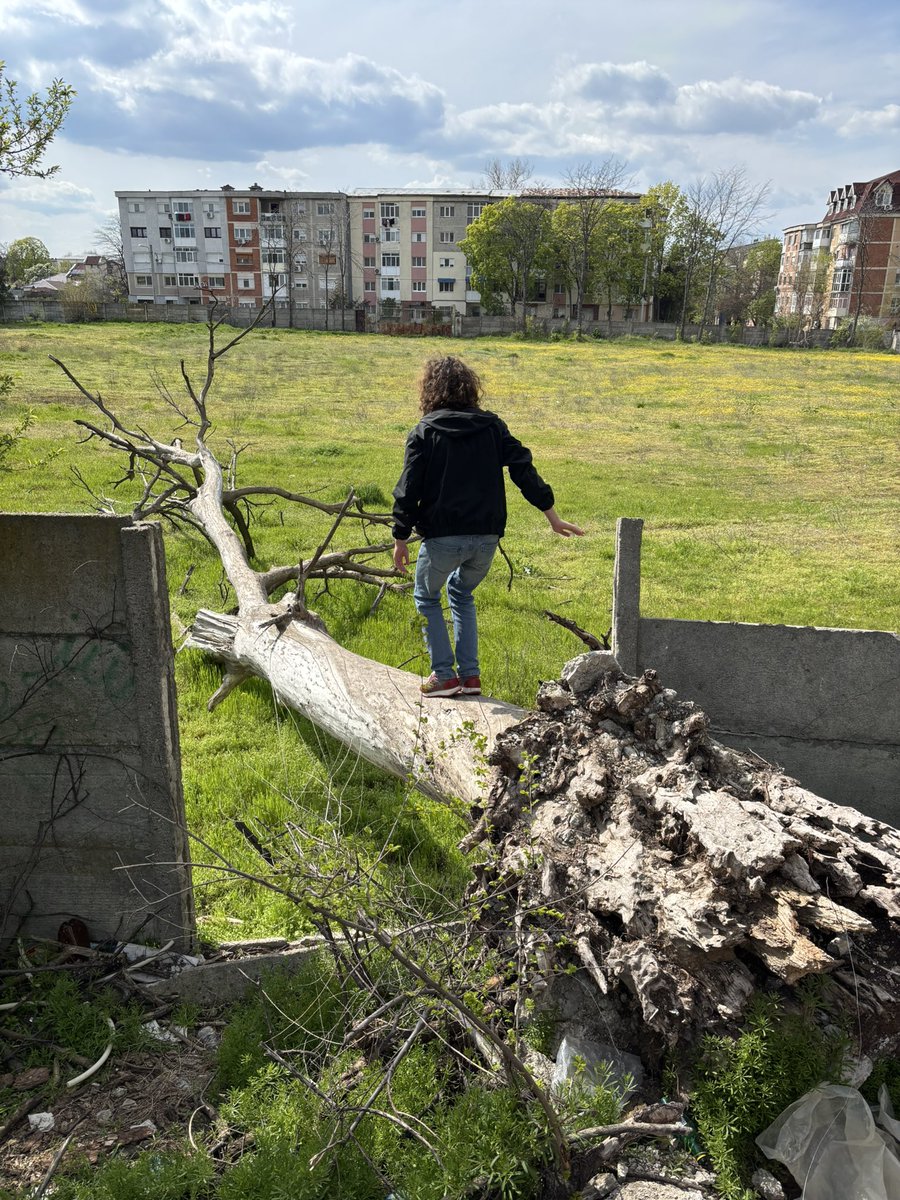 where did bro take me