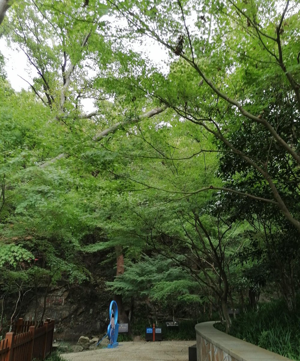 diarra1111@hotmail.f tweet media