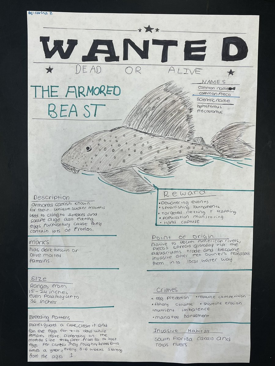 Shannon E. Kelly tweet media