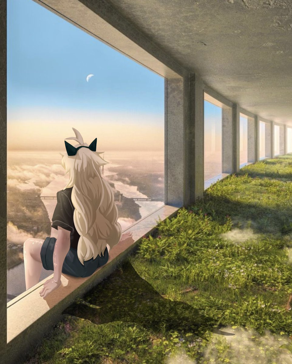 Dontacos tweet media