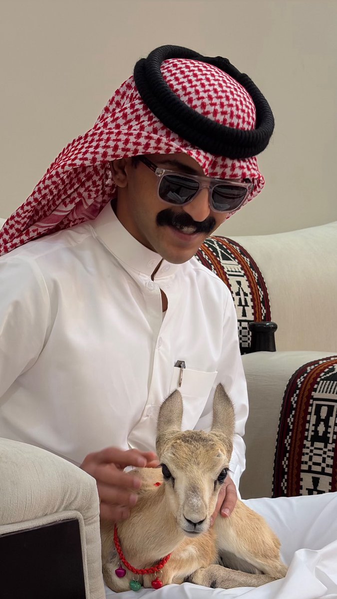 هزاع tweet media