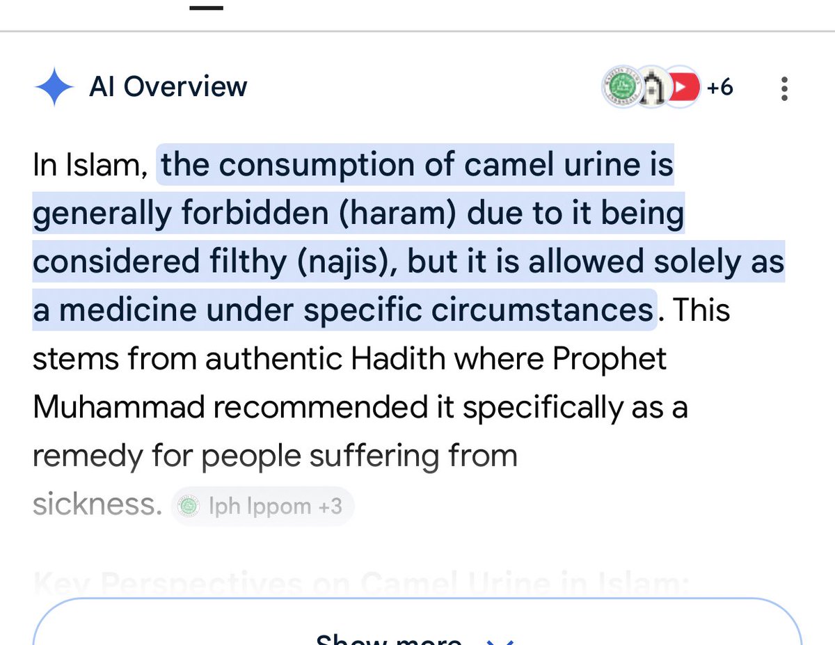 Gul bashraa tweet media