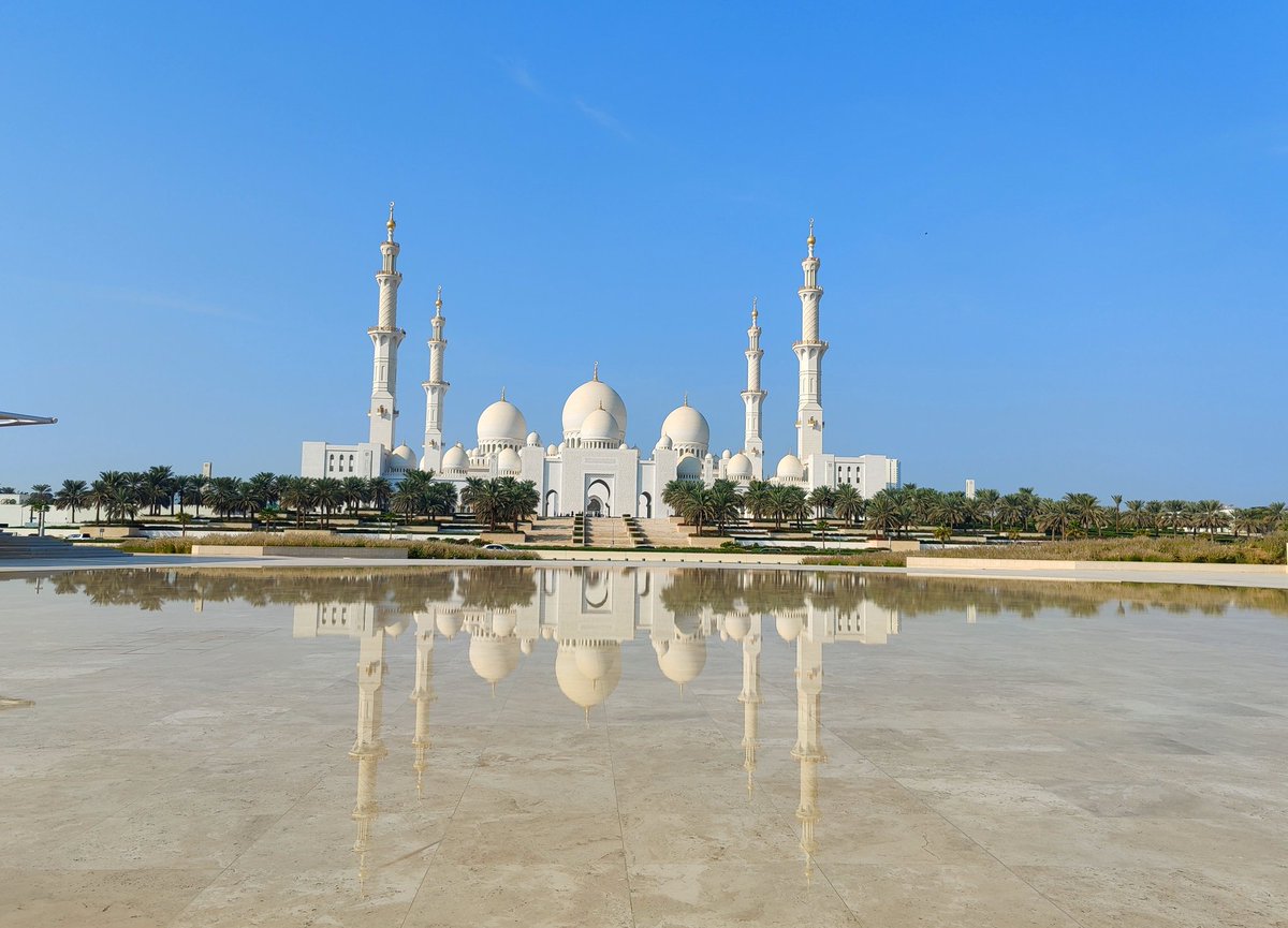 Moran Zaga tweet media