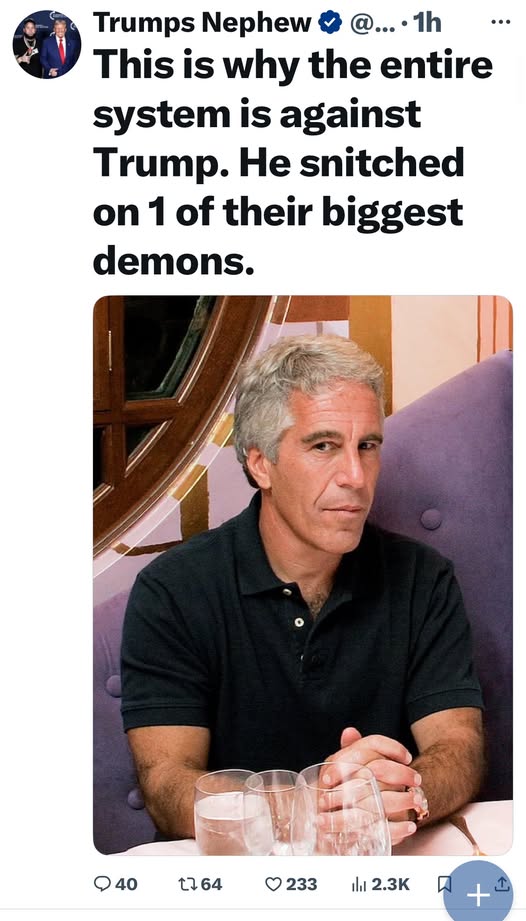 Freedom-Writer tweet media