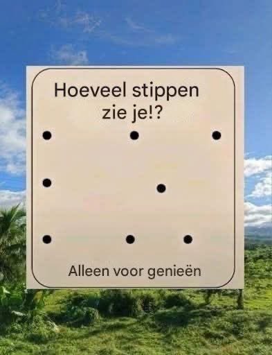 EvertOostdam™ tweet media