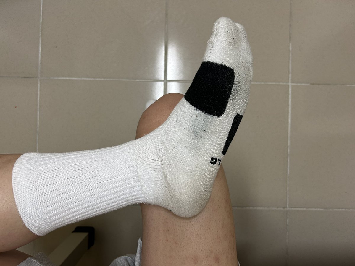 🪨🍄‍🟫 tweet media