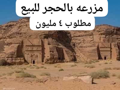 مزرعه في الحجر مدائن صالح