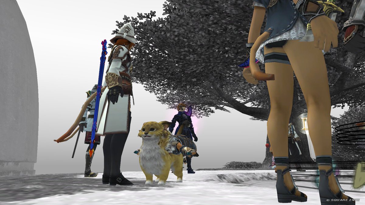 nyaaaBoss tweet media