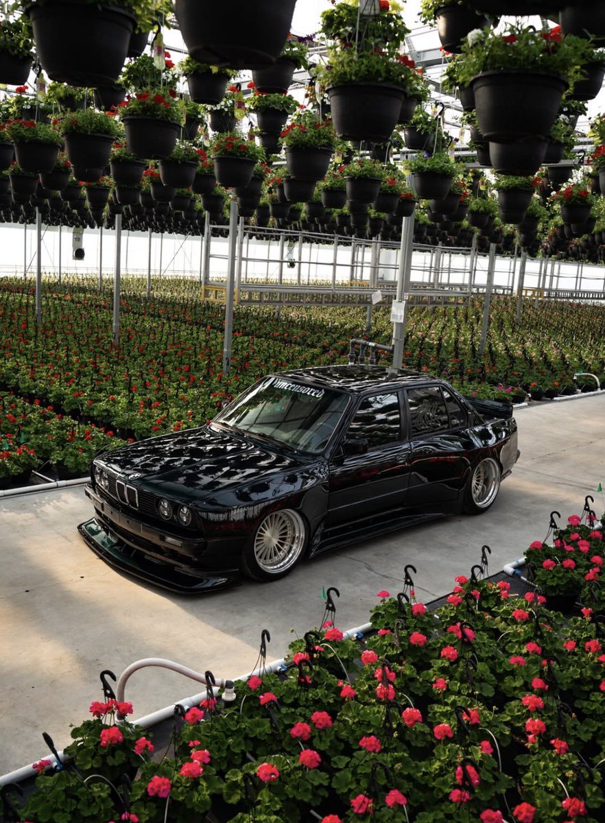 Ms_dladla tweet media