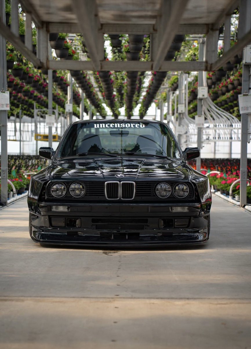 Ms_dladla tweet media