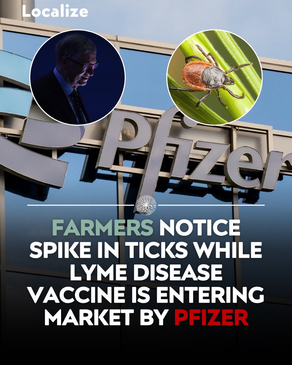 Localize - Farmers Market tweet media