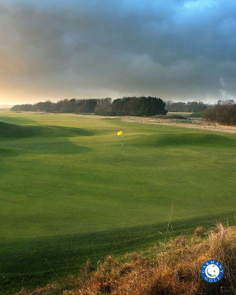 Garmany Golf tweet media