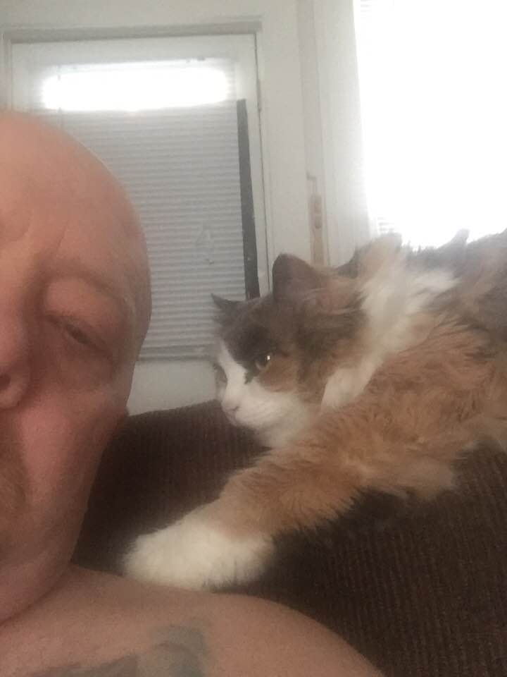 BootheJ24458's tweet image. This is Baby. She was the Queen. I miss my baby girl.
#writingcommunity #pets #authorlife