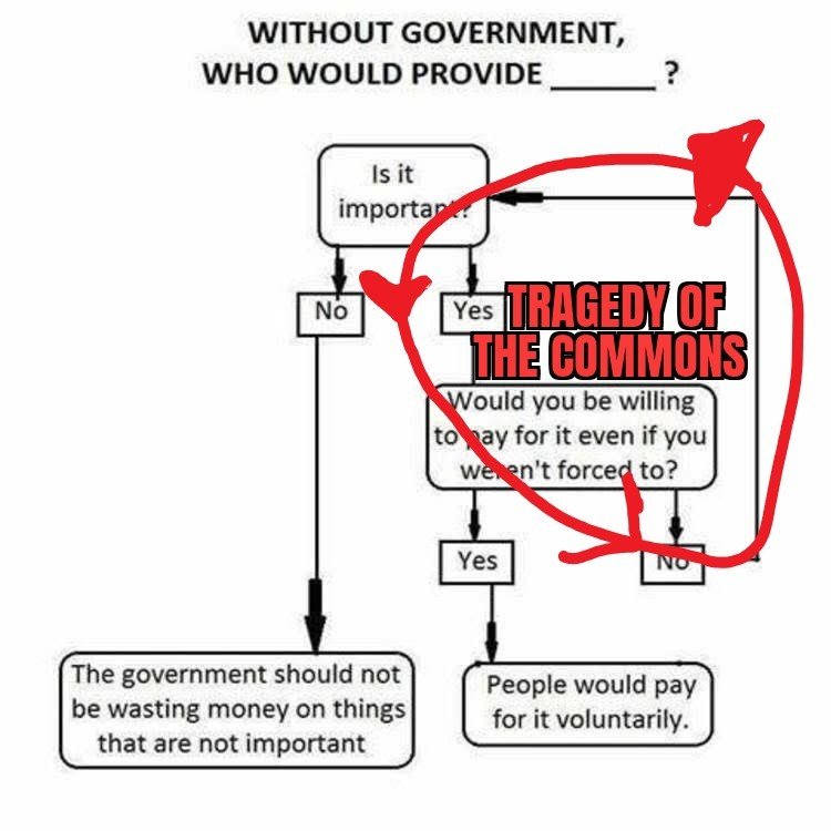 Space Koala tweet media