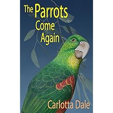 PaulBrazill's tweet image. #flashfiction #shortstory #guestpost: Not the Death I Was Expecting by Carlotta Dale  open.substack.com/pub/pauldavidb…