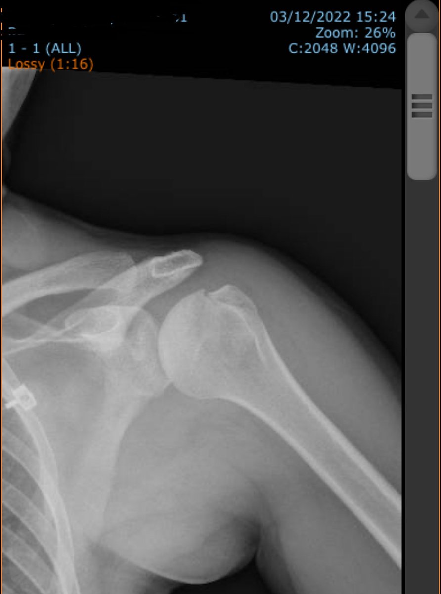 The Feng Hunter™ tweet media