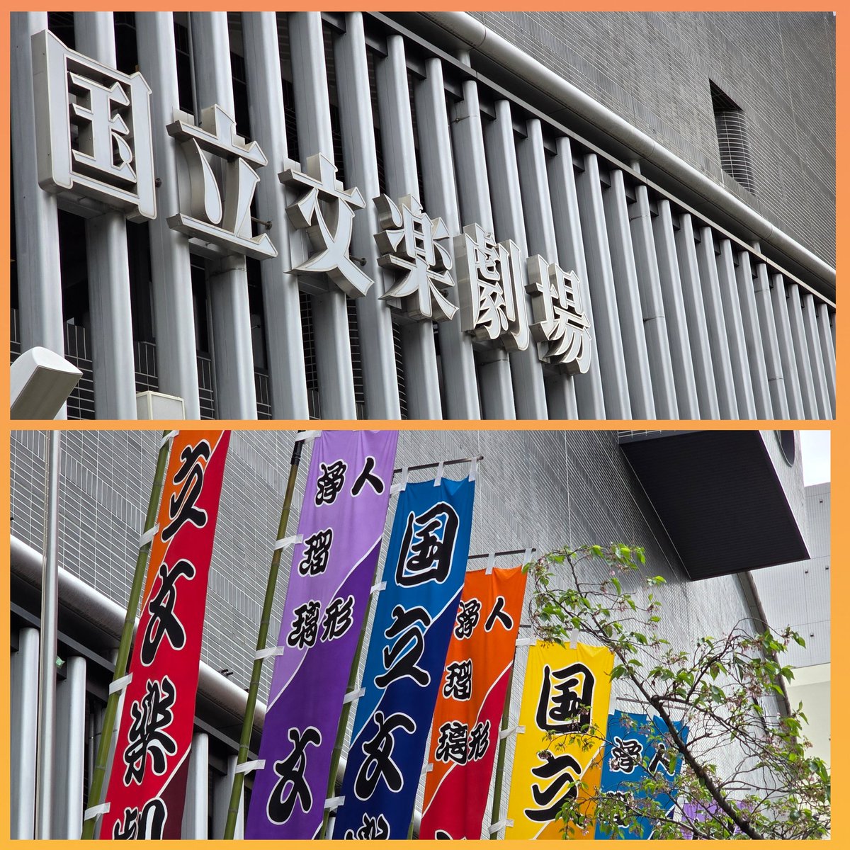 イクちー❗(Justice) tweet media