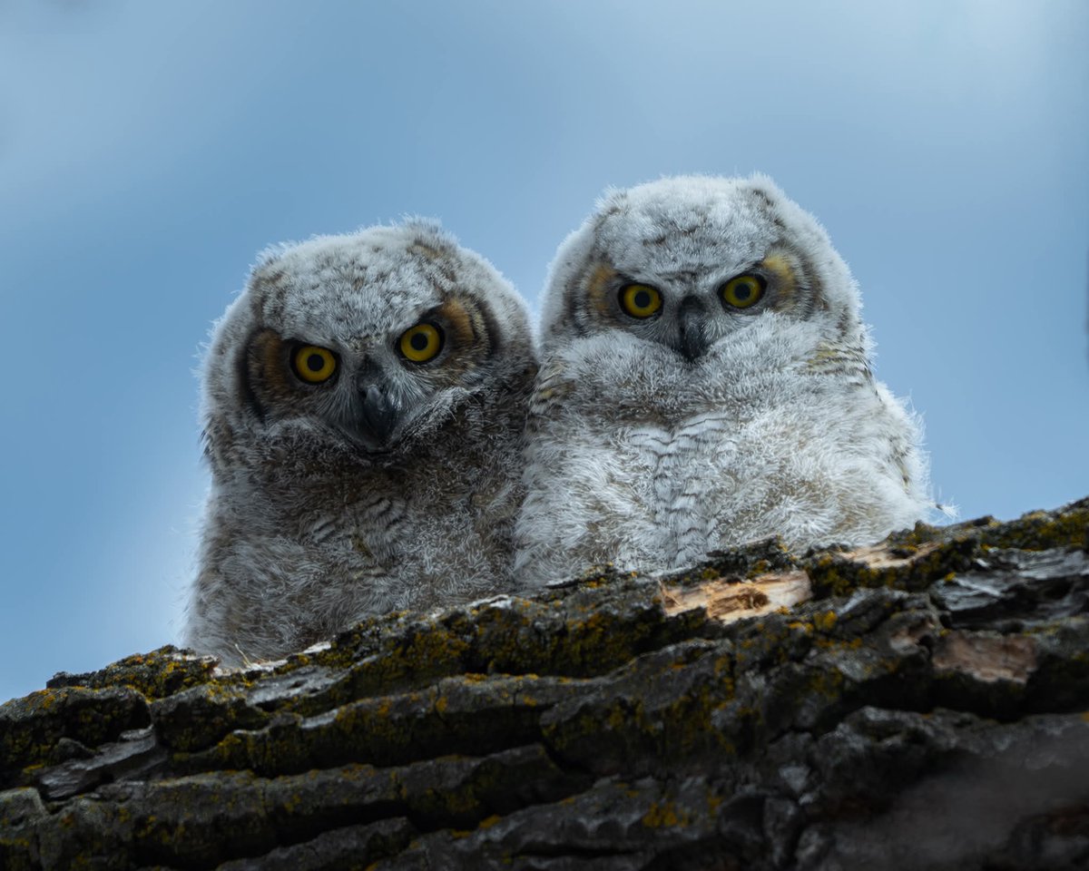 James Andrew tweet media