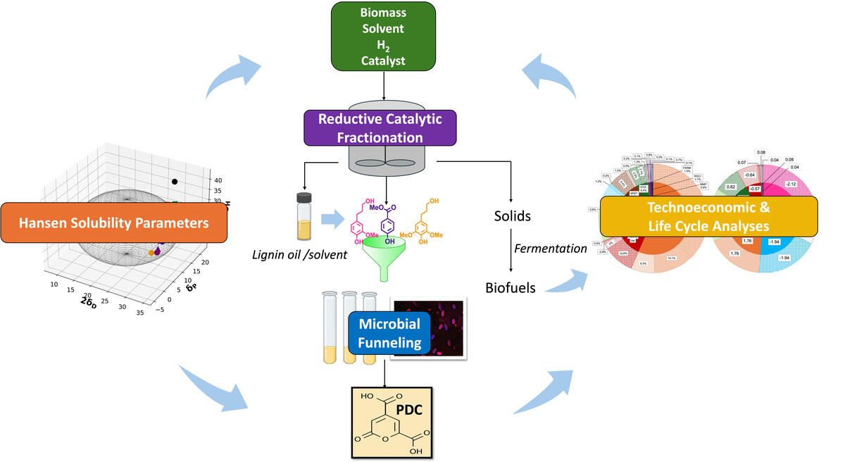 Great Lakes Bioenergy Research Center (GLBRC) tweet media
