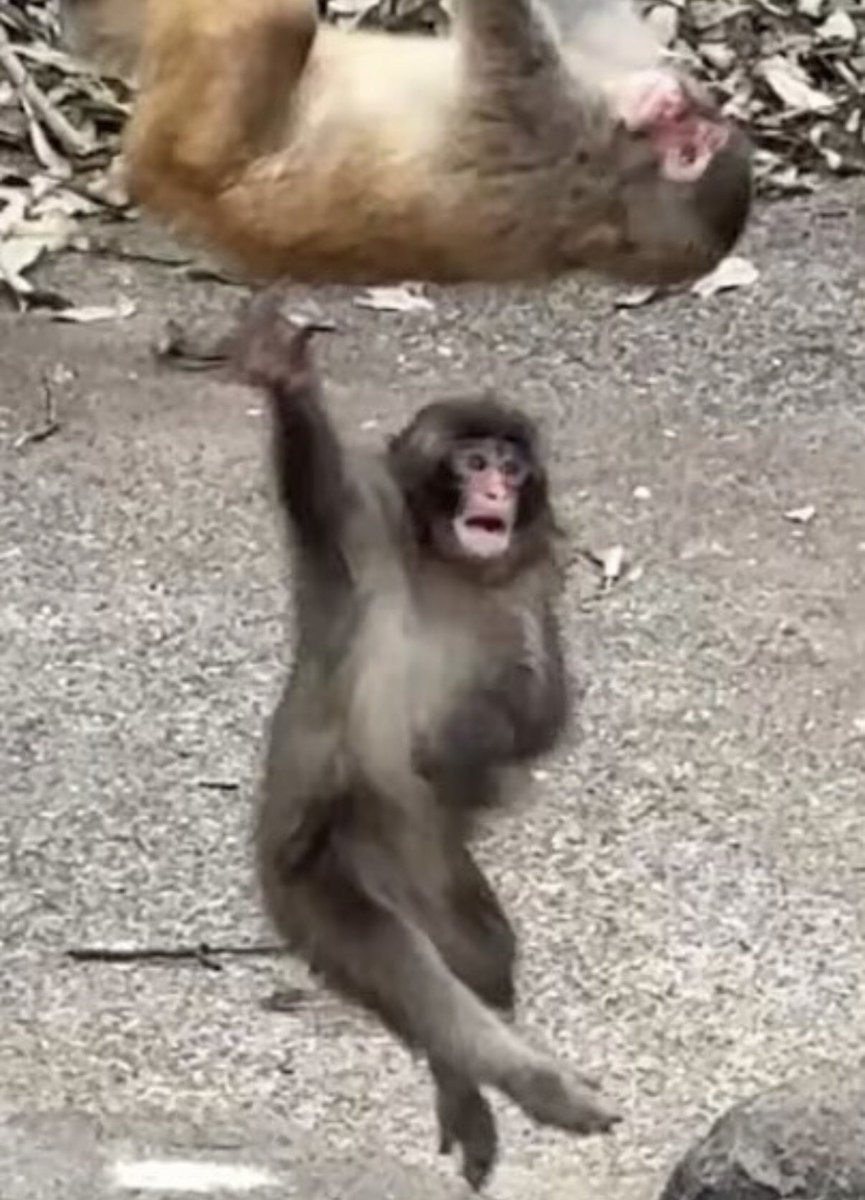 baekhyun_a tweet media