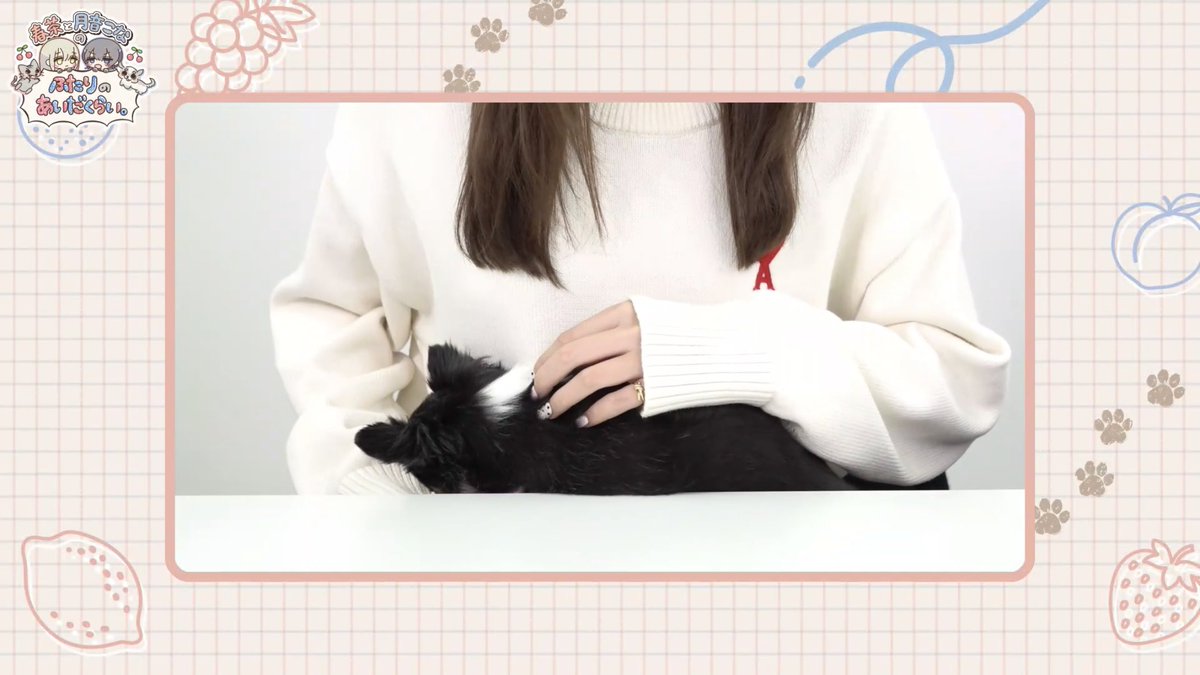 syuxmj's tweet photo. https://t.co/WVW9Kv6sWZ

揺るぎない愛の絆

春茶さん
ティファニー
Tiffany &amp;Co. https://t.co/eemnqqb7sK