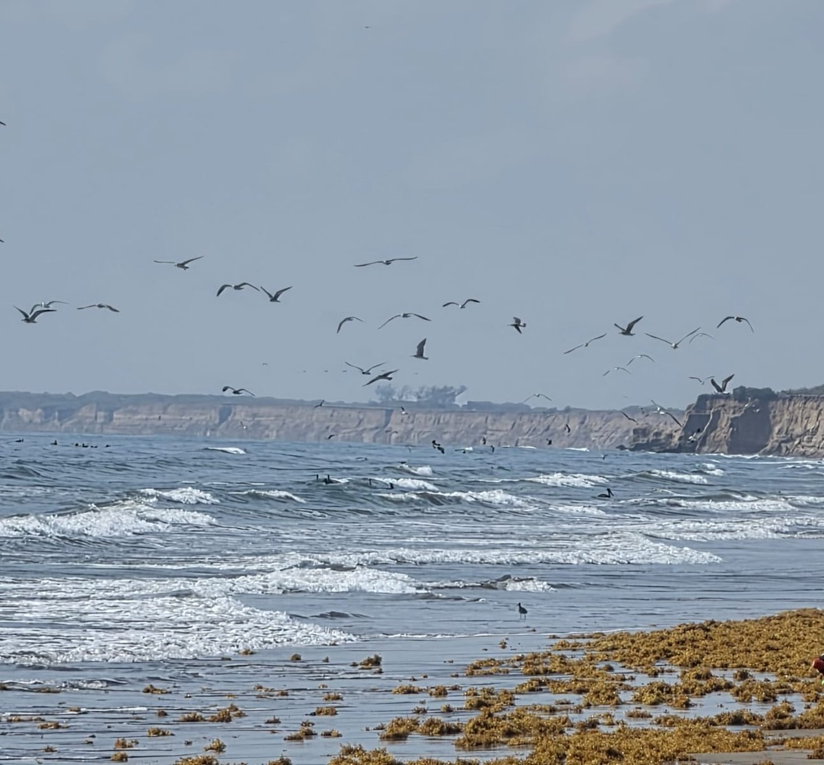 MauricioPazos_'s tweet image. Ruta #MTB en Las Barrancas 🌊🚴🏻‍♂️ #Veracruz