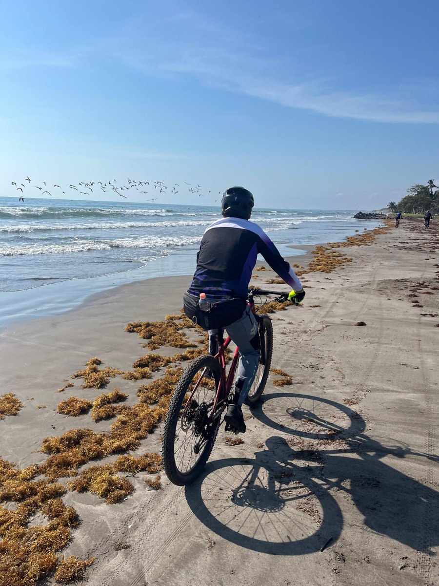 MauricioPazos_'s tweet image. Ruta #MTB en Las Barrancas 🌊🚴🏻‍♂️ #Veracruz