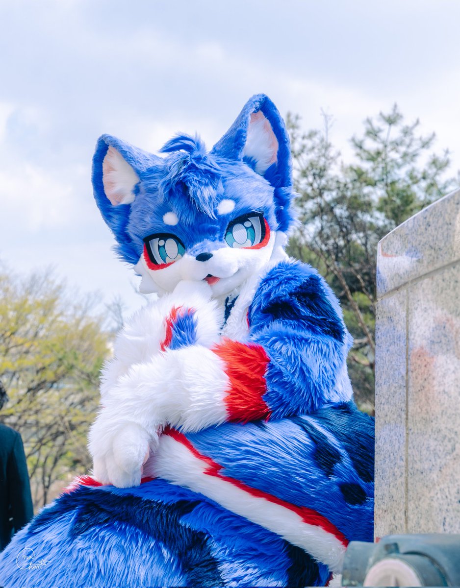 라딘_Radin tweet media