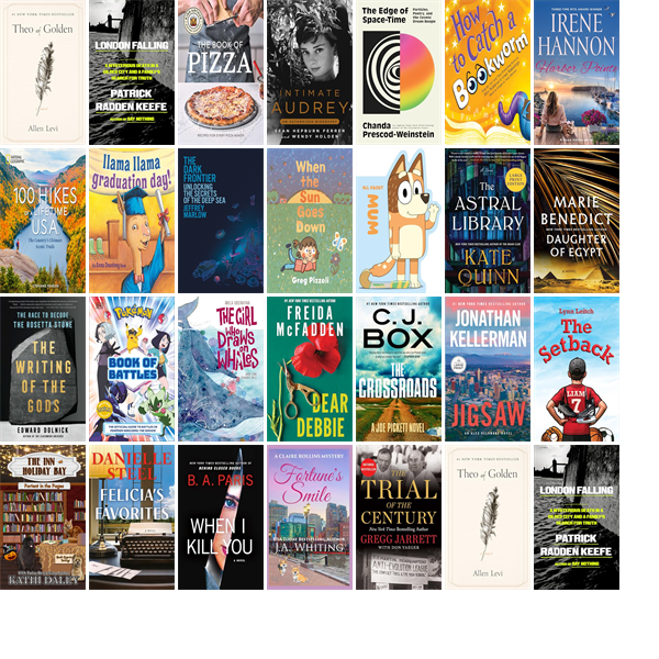 LibraryWinthrop's tweet photo. This week the Winthrop Public Library has 29 new books.  New items include Theo of Golden and London Falling. https://t.co/H4RcsOQ1Vi https://t.co/pdaHcGF3fL