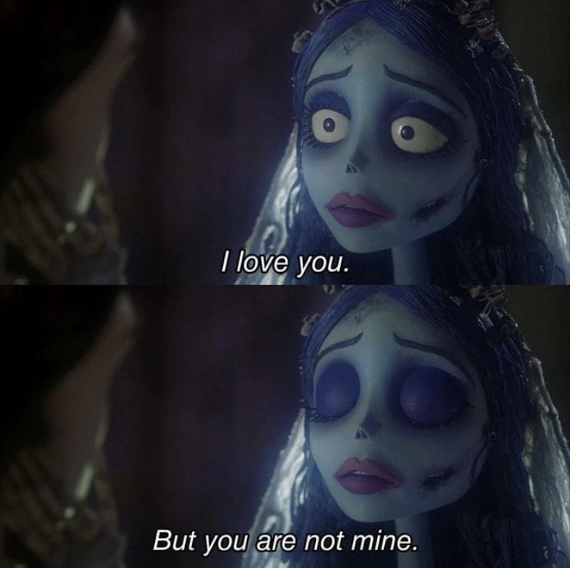 jasmin🪷 tweet media