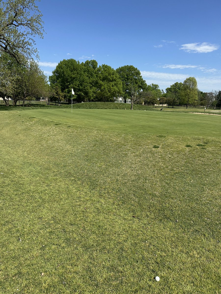 Notorious Gooner tweet media