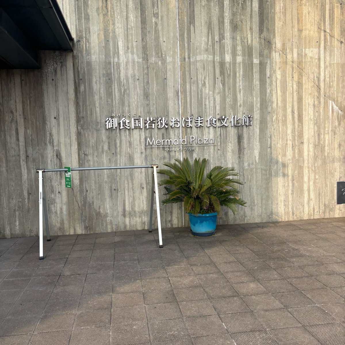 nae_chip// tweet media