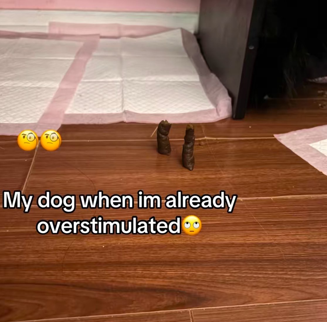 Mesh🇧🇧 tweet media