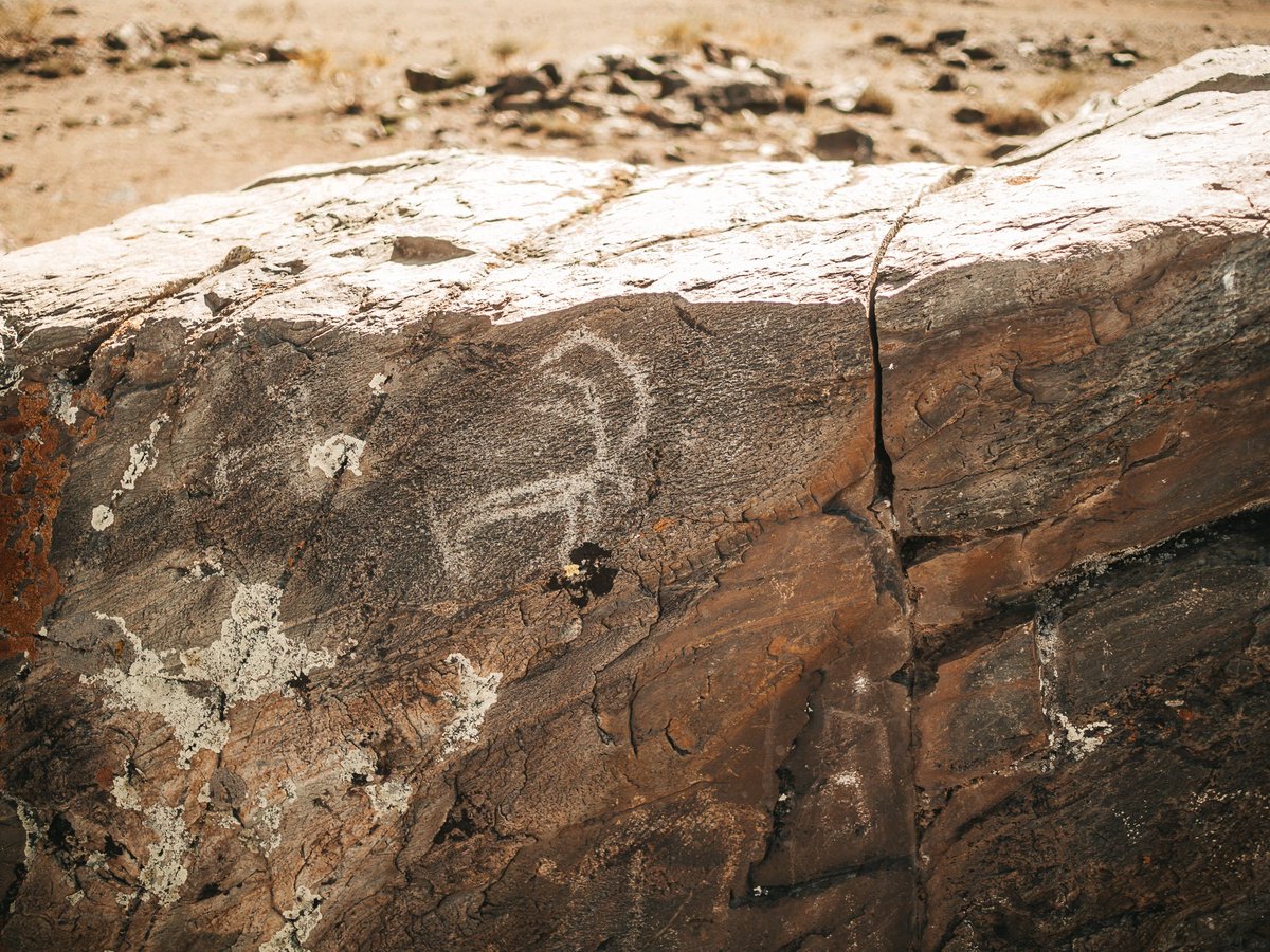 Johnny Rebel tweet media