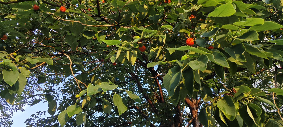 Кристина Козлова tweet media