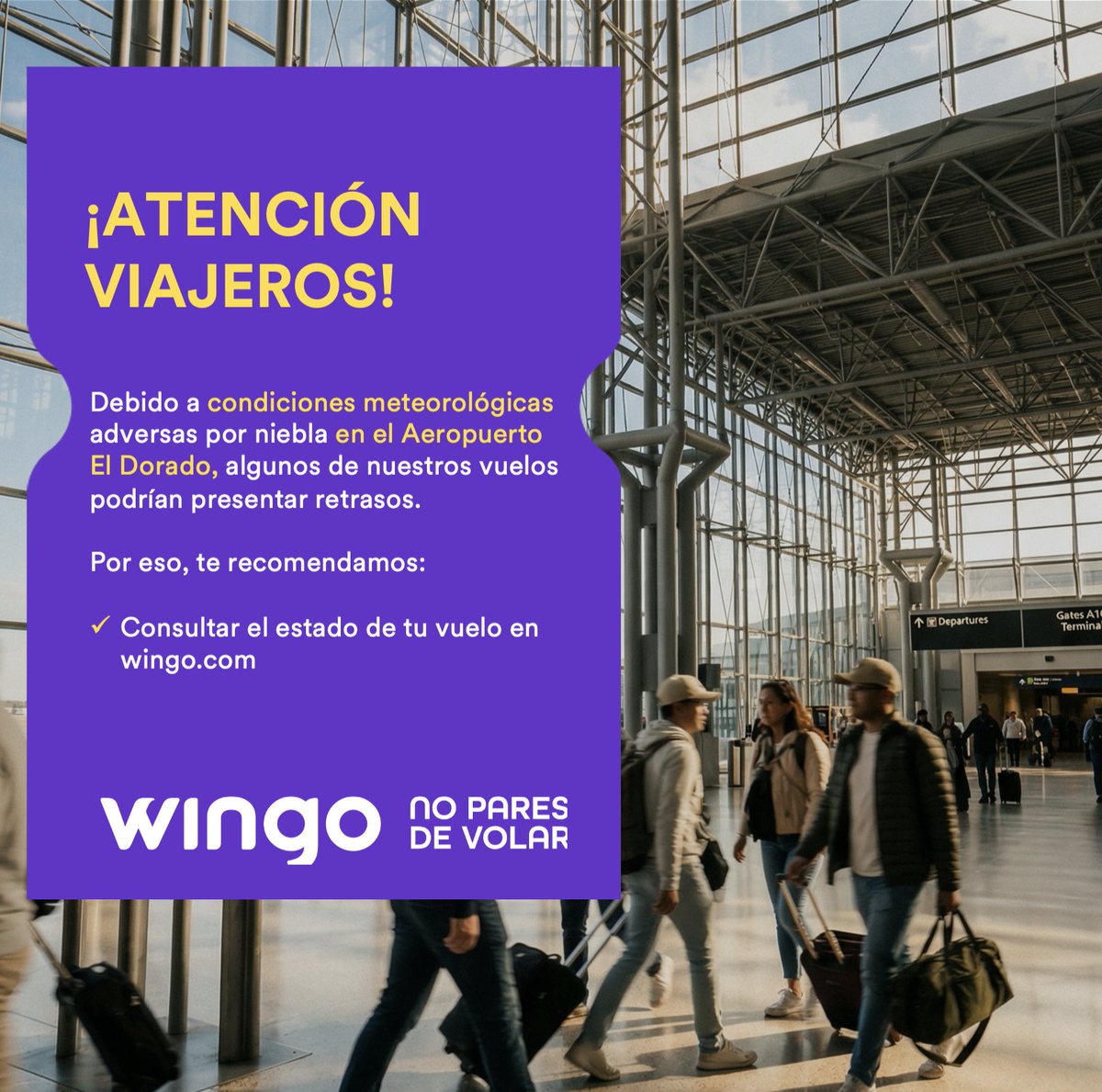 Wingo tweet media