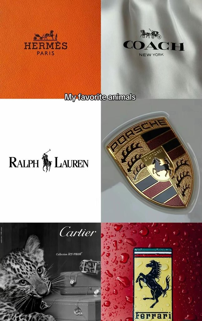 ~auline~ tweet media