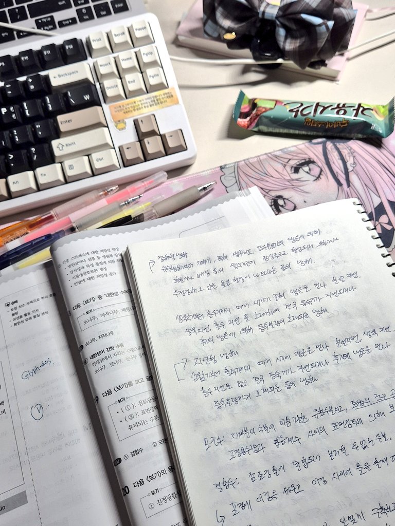 n_ilu_v_U4ever's tweet image. #Studytwt #study 
자유시간 요새 진짜 왤케 비쌈?