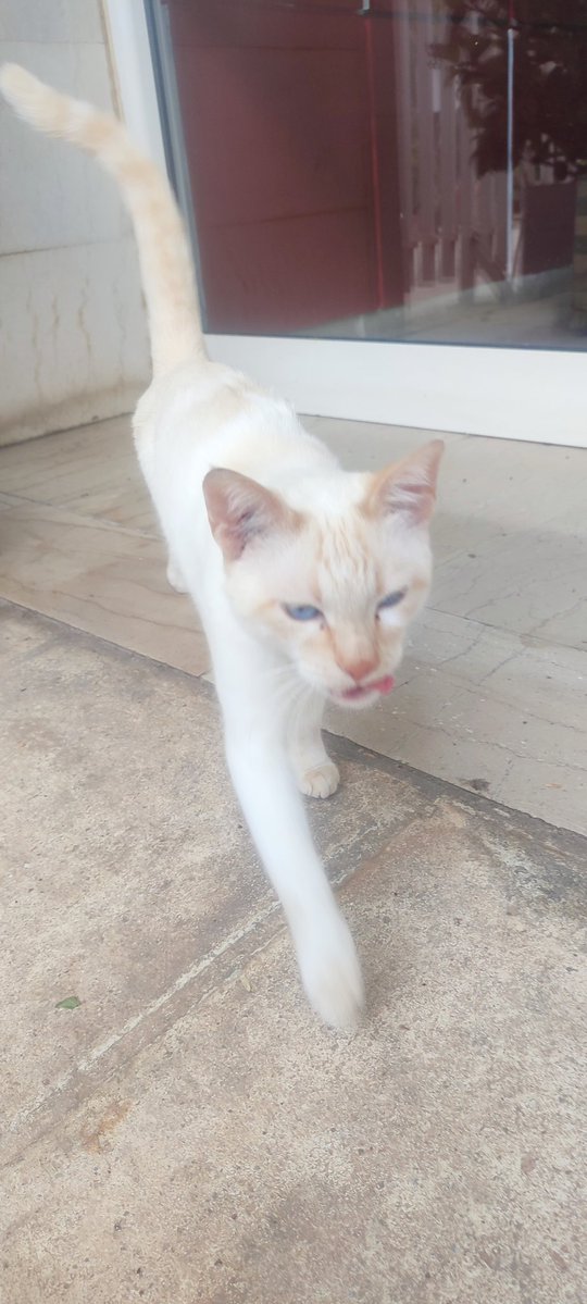 Οι ποδάρες της Σέλλι 안희🔮🏐 🌪️🏆🦌 tweet media