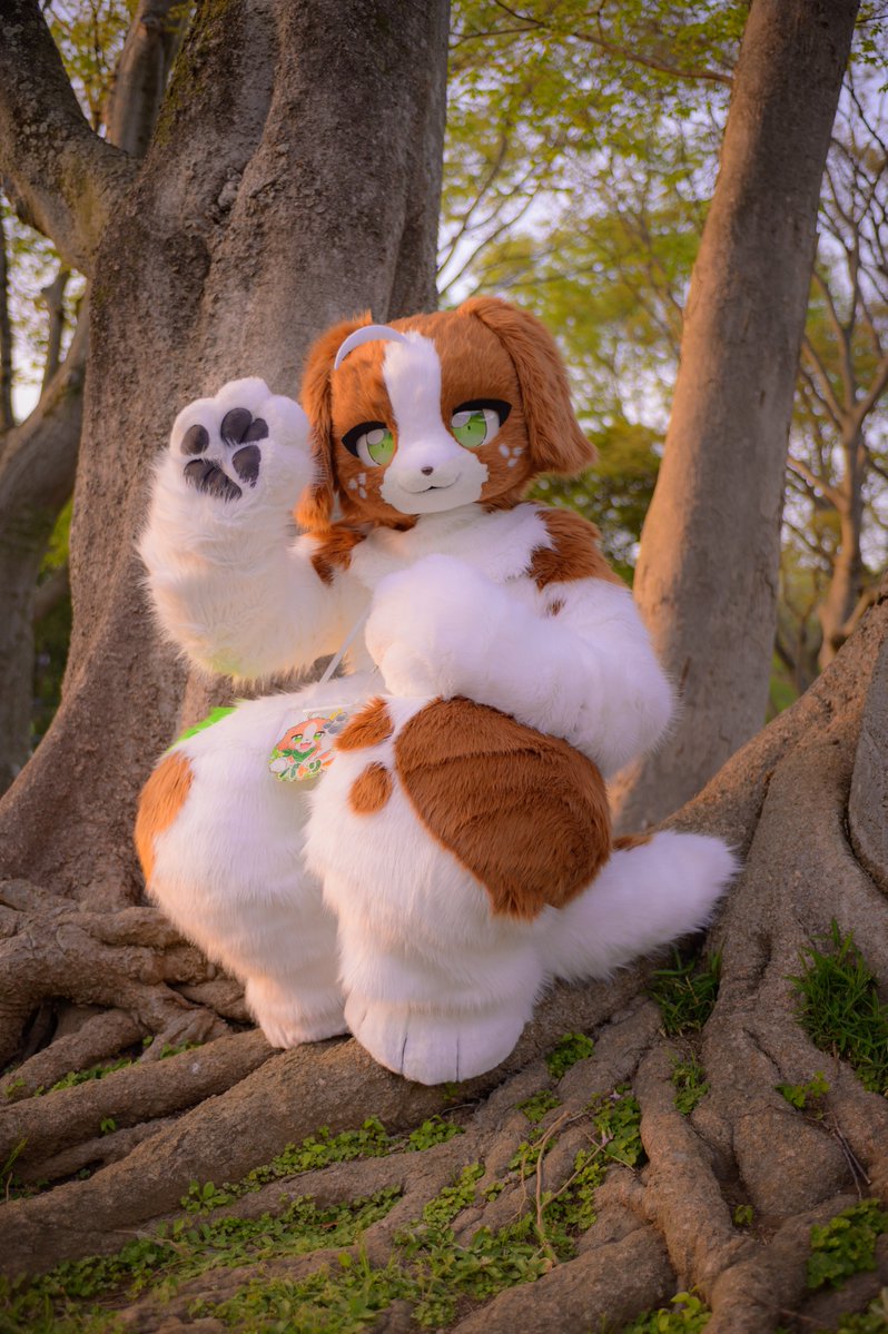 玉蛇（たもへび）&パトリー☘️ tweet media